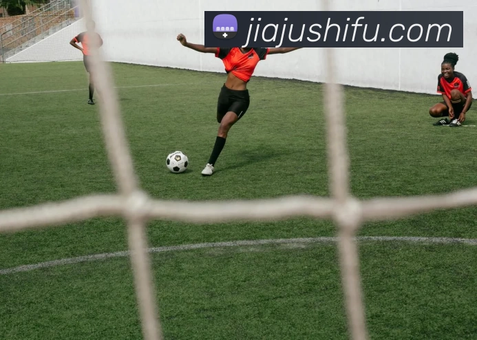 九游体育APP 封面图